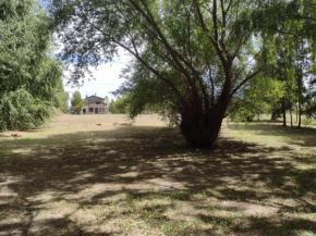 El jardín de los presentes